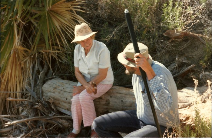 Dodo and Rolfe Adults