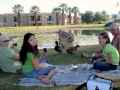 picnic at the park with family in 2006